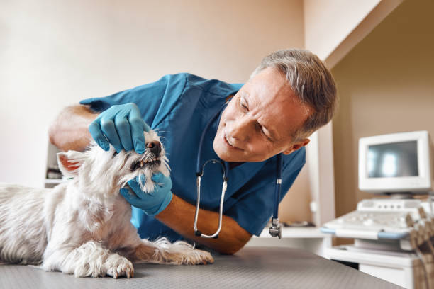 Best Cosmetic Emergency Dentistry in Trinidad, CO